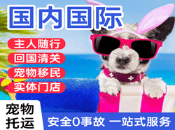盐城机场邮寄国际宠物托运 【国